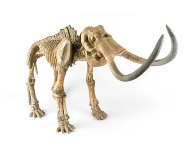 фото Фигура мамонт Shishi CF1130292-F38