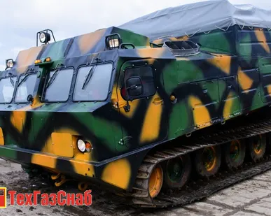 фото Витязь дт-30П