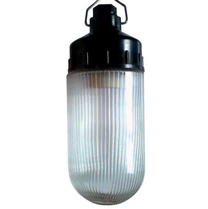 Фото №0 Светильник НСП 02-100-001 "Желудь Ф" IP65 корпус карболит Элетех 1005550307