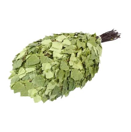 Фото №0 Веник березовый Богатырь (в упаковке, арт. БШ 32469)