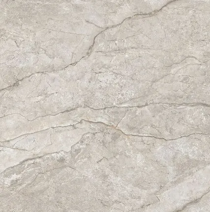 Фото №0 Керамогранит Marble Elegant River Matt 120x120