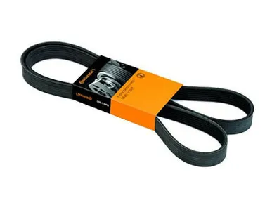 фото Dongil Ремень приводной Santa FE SM Classic/Tucson JM/Elantra XD (2 0 дизель)/L200 IV/3 E36 6PK1510 ор 2521227400 Dongil 6PK1510