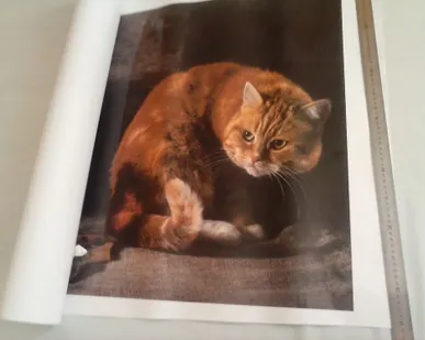 фото Самоклейка