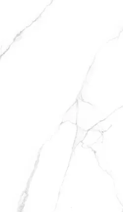 Фото №0 Керамогранит Simpolo CRV-3141 carving 60х120