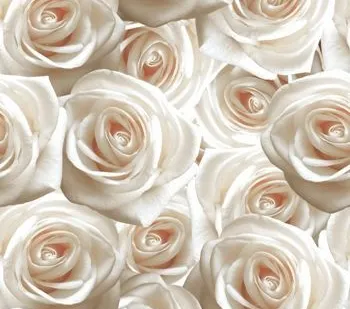 фото Belani Камелия Декор светло бежевая 250х500х8мм