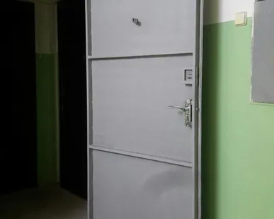 фото Двери входные металлические
