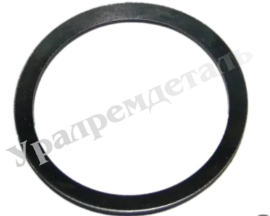 фото Пружины тарельчатые 60ЗМ.001