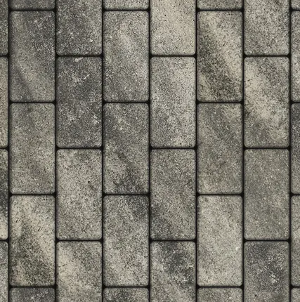 Фото №0 Плитка тротуарная Прямоугольник (Ла-Линия) Б.2.П.6 Листопад гладкий Антрацит 200*100*60 мм