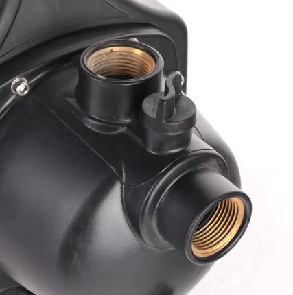 Фото №2 Поверхностный насос R 900