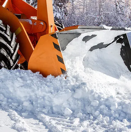 Фото №0 Уборка и вывоз снега