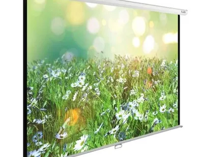 фото Рулонный матовый белый экран