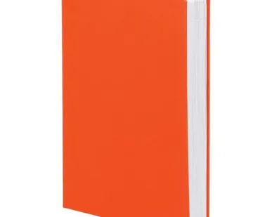 фото Ежедневник Basis, датированный, оранжевый