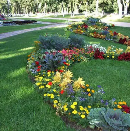 Фото №0 Устройство газонов и цветников