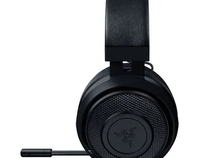 фото Компьютерная гарнитура Razer