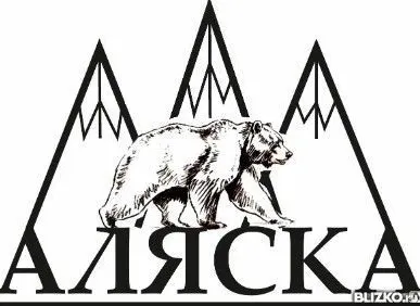 фото Строительство домов из бруса