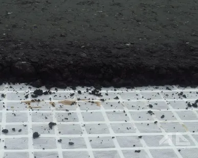 фото Геосетка АРМДОР К