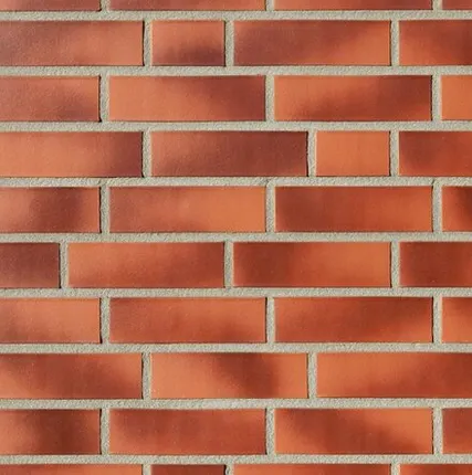 Фото №0 Roben Кирпич Roben DARWIN 38 NF (240x115x71)