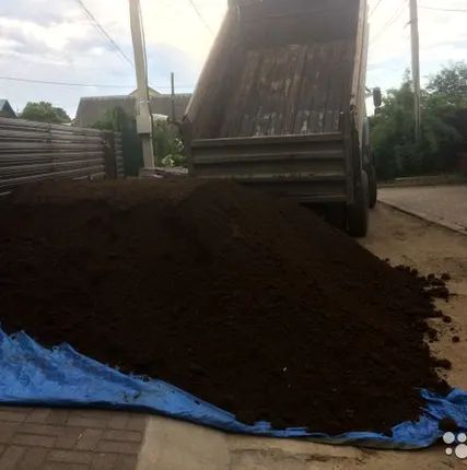 Фото №4 Перегной