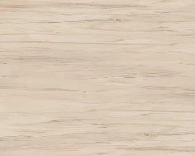 фото Керамический гранит CERSANIT Botanica 420x420 коричневый 16093 (BN4R112-69)