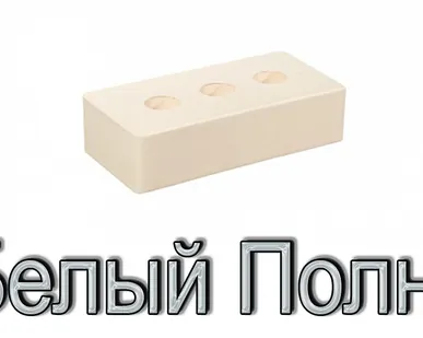 фото Кирпич ЖКЗ КР-л-по 250х120х65/1НФ/300/2,0/100 300 Белый