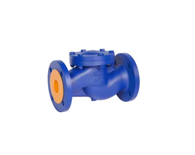 фото Клапан обратный Ду 150 фланцевый REON