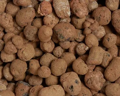 фото Керамзит фракция 10-20 мм (БЗКГ)