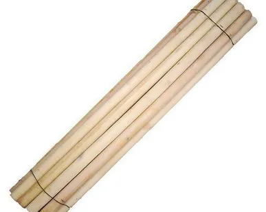 фото Шкант нагель