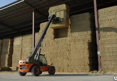 фото Телескопический фронтальный погрузчик Ausa T 235 H