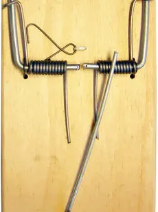 фото Капкан для грызунов