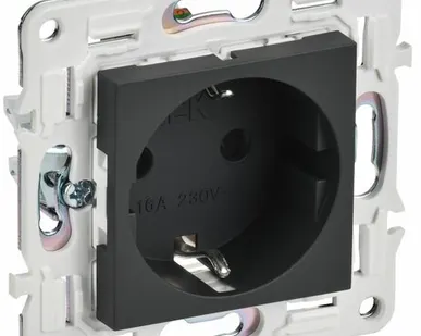 фото SKANDY Розетка с заземлением с защитными шторками 16А SK-R04G графит IEK