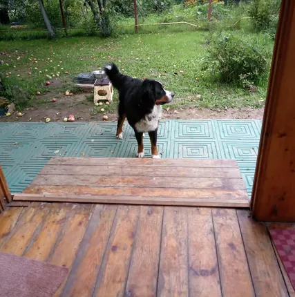 Фото №4 Пластиковая плитка для садовых дорожек на даче