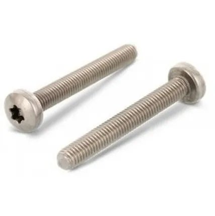 Фото №0 Винт DIN 7985 TORX