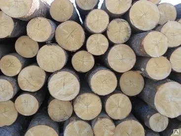 фото Кругляк лиственница D 140 - 180, L=6м