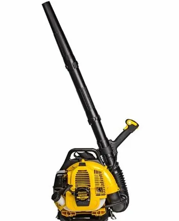 Фото №0 Воздуходувка Champion GBR333