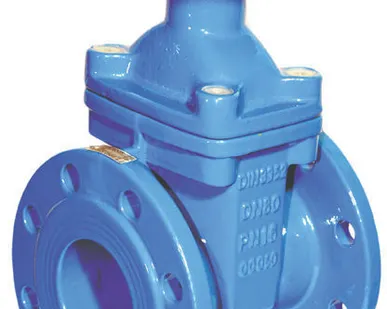 фото Зад.30нж41нж Ду 100 Ру 16 с отв. фланцами,креп. и прокладками