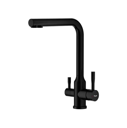 Фото №0 Смеситель для кухни с краном для фильтра RAGLO R81.61.06, цвет: черный