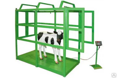 фото Платформенные весы для взвешивания скота ВПС