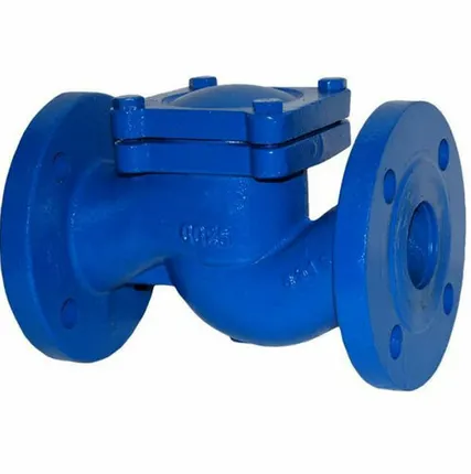 Фото №0 Клапан обратный RD16F