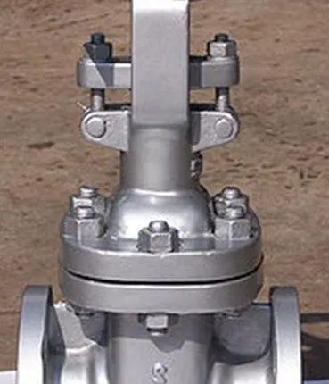 Фото №0 Задвижка 30С41НЖ газ Ду250