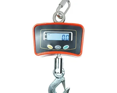 фото Весы крановые Romitech CS-97-EC