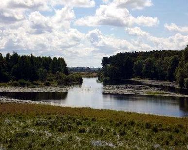 фото Автоперевозки грузов Санчурск