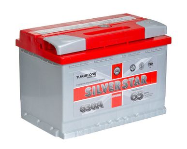 фото Аккумуляторная батарея Tungstone SilverStarH 6СТ-65 L, 12 В.