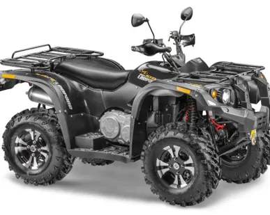 фото Квадроцикл STELS ATV 600 Leorard