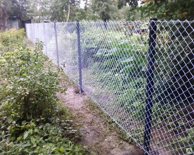 фото ЗАБОР ИЗ СЕТКИ РАБИЦА