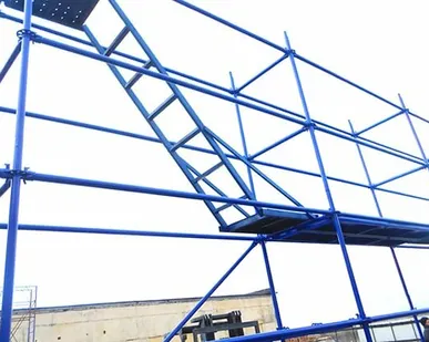 фото Аренда клиновых лесов