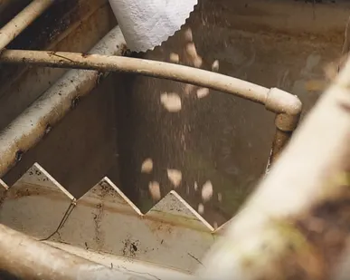 фото Обслуживание септиков Биодека, Юбас, ЭкоГранд, Тополь, Аквалос, АльтаБио