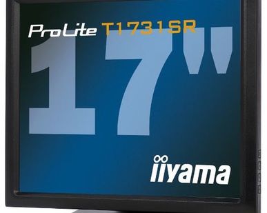 фото Монитор Iiyama ProLite T1731SR-1