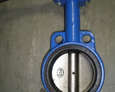 фото Затворы