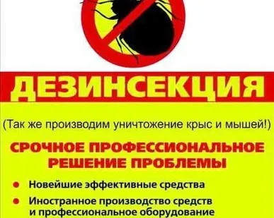 фото Травля клопов