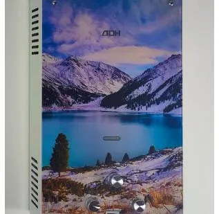 фото Газовый проточный водонагреватель JSD-20 EGFT Winter mountains КОНОРД